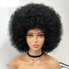 Short Fluffy Afro Kinky Curly Wig with Bangs: Synthetic Ombre Glueless Wig - Flexi Africa - Free Delivery www.flexiafrica.com